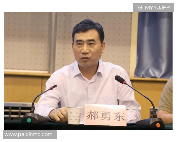 福建足球队缺失的原因探讨与地方体育发展的关系分析